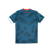 Crvena Zvezda plavi dres