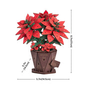 3D puzzle Robotime Rowood Poinsettia TF001