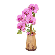 3D puzzle Robotime Rowood Purple Moth Orchid