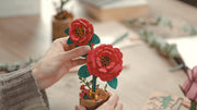 Robotime 3D Puzzle Rowood Red Camellia TW041